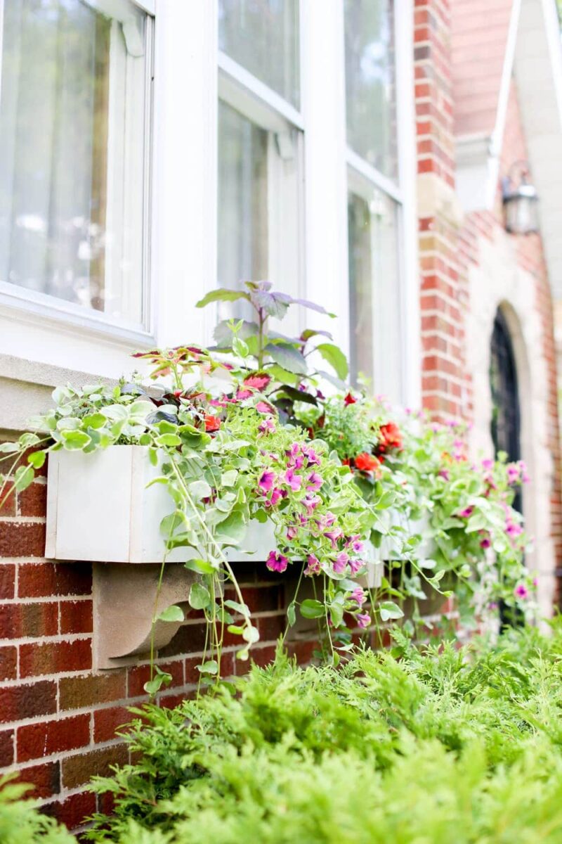Do It Yourself How To Build A Simple Cedar Window Box