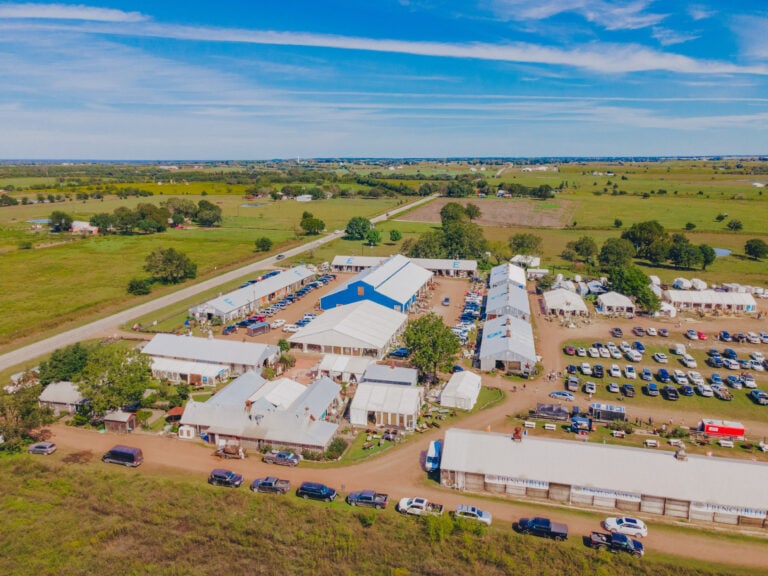 Round Top Antiques Fair